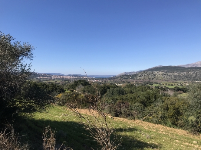 property-img