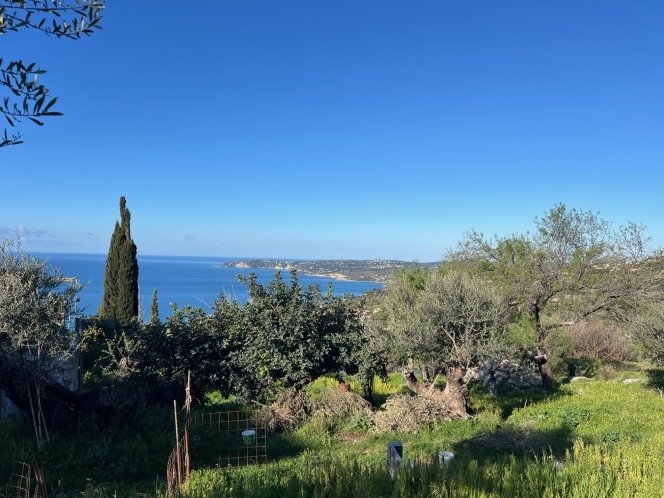 property-img