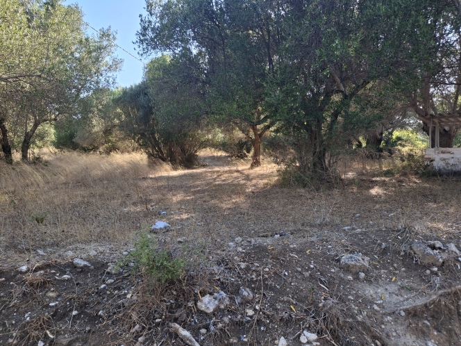 property-img