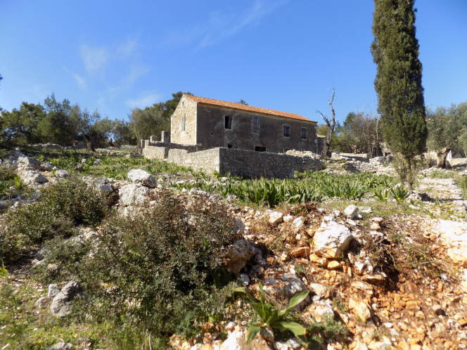 property-img